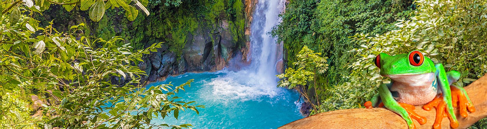 Visit Costa Rica with Zakrzewicz