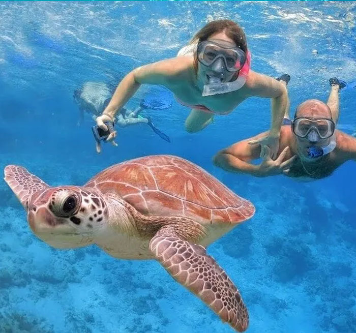PUNTA CANA Catalina Snorkeling