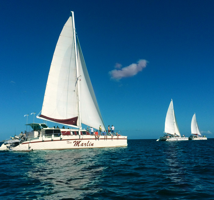 Sunset Sailing, snorkeling, animals, nature, booze, catamaran Sunset Sailing from Playa del Coco, Tamarindo, Playa Flamingo, Playa Conchal, Playa Hermosa ... - Costa Rica