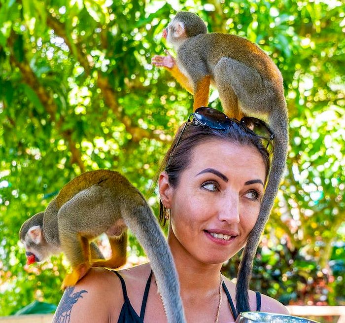 PUERTO PLATA Monkeyland
